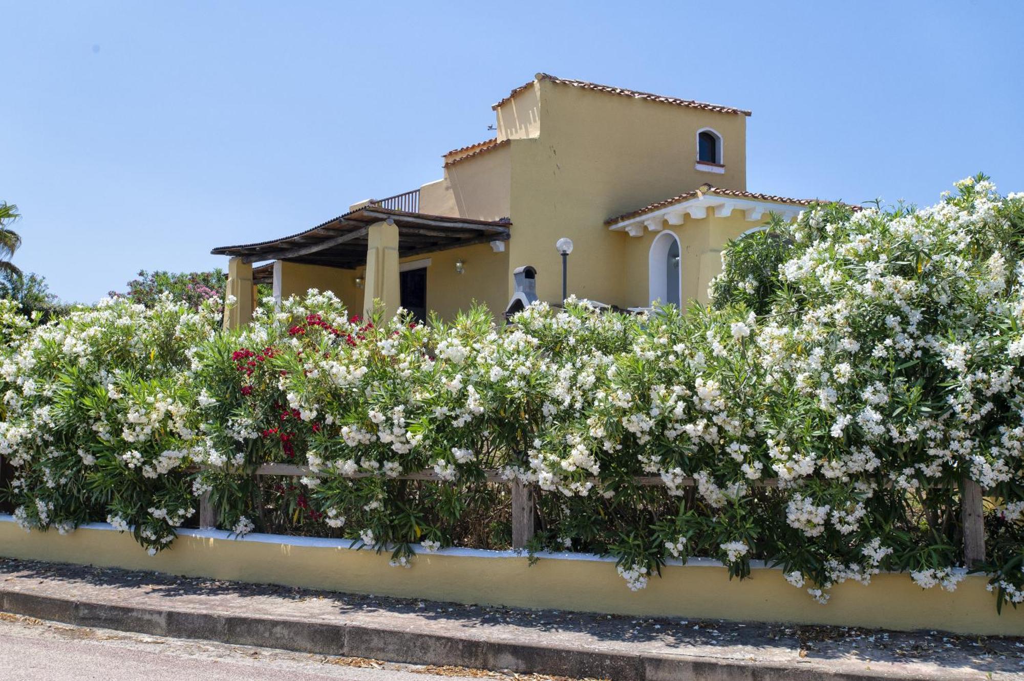 Villa Azzurra Stintino Eksteriør bilde